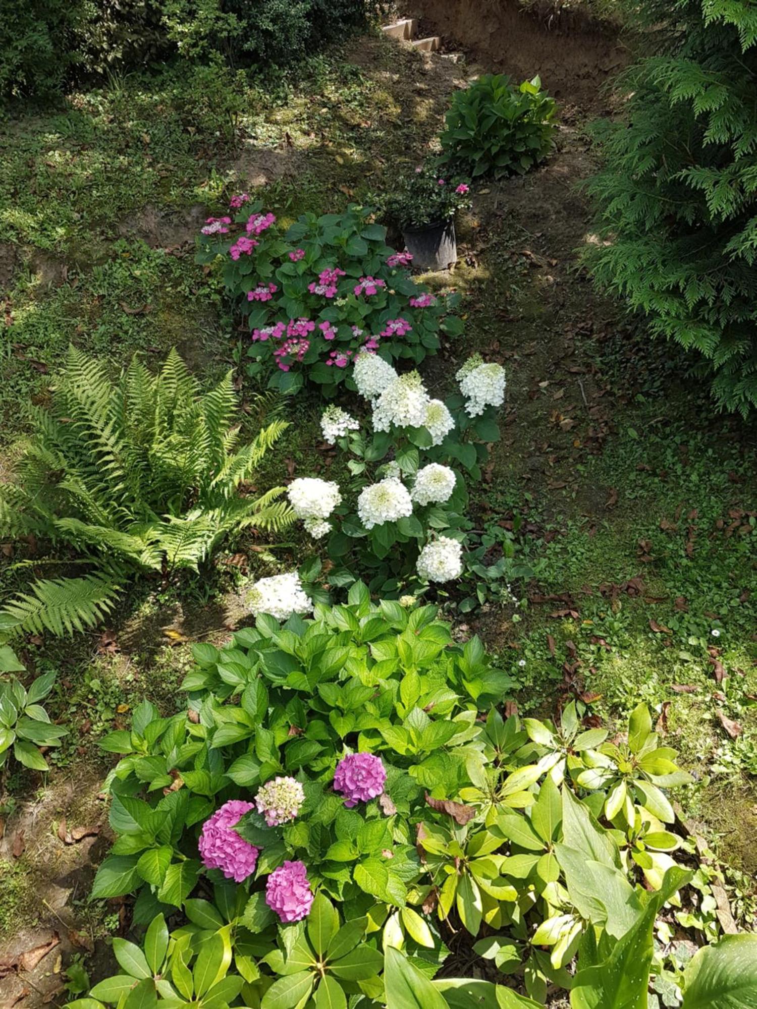 Levendulás Vendégház Zalaegerszeg Extérieur photo