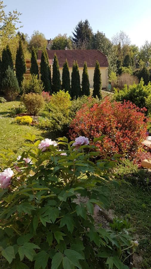 Levendulás Vendégház Zalaegerszeg Extérieur photo